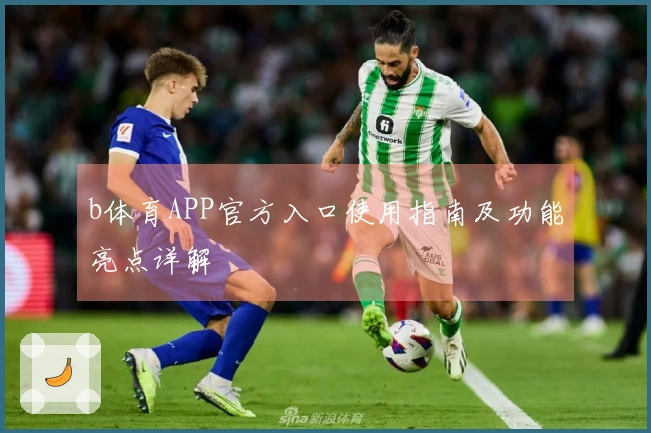 b体育APP官方入口使用指南及功能亮点详解