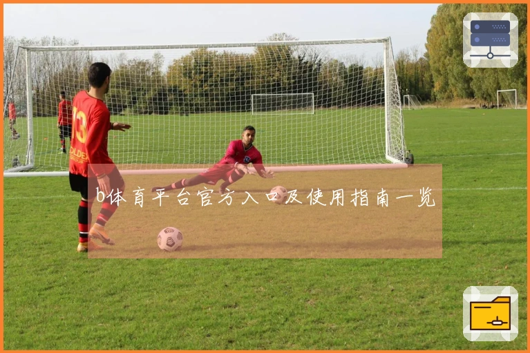b体育平台官方入口及使用指南一览