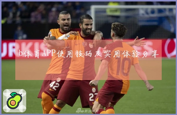 b体育APP使用技巧及实用体验分享