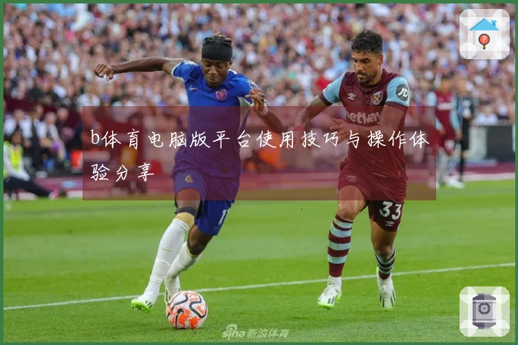 b体育电脑版平台使用技巧与操作体验分享