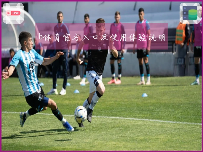 b体育官方入口及使用体验说明