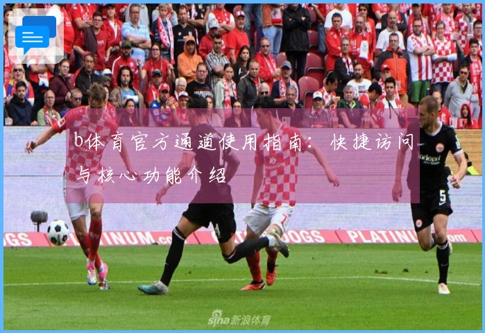 b体育官方通道使用指南：快捷访问与核心功能介绍