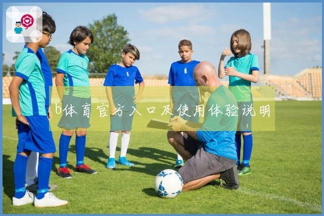 b体育官方入口及使用体验说明