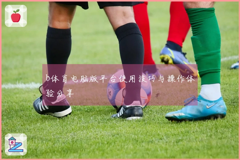 b体育电脑版平台使用技巧与操作体验分享