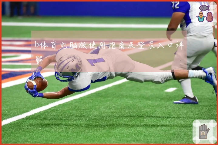 b体育电脑版使用指南及登录入口详解