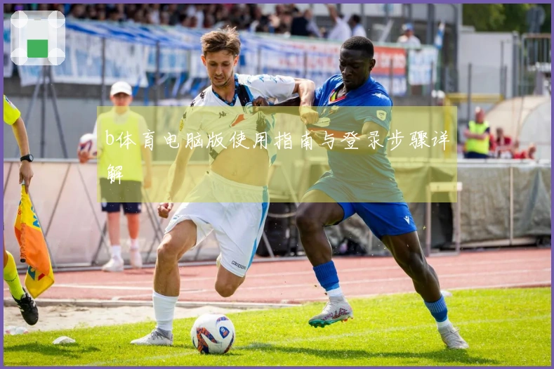 b体育电脑版使用指南与登录步骤详解