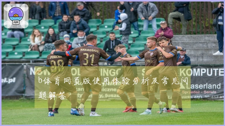 b体育网页版使用体验分析及常见问题解答